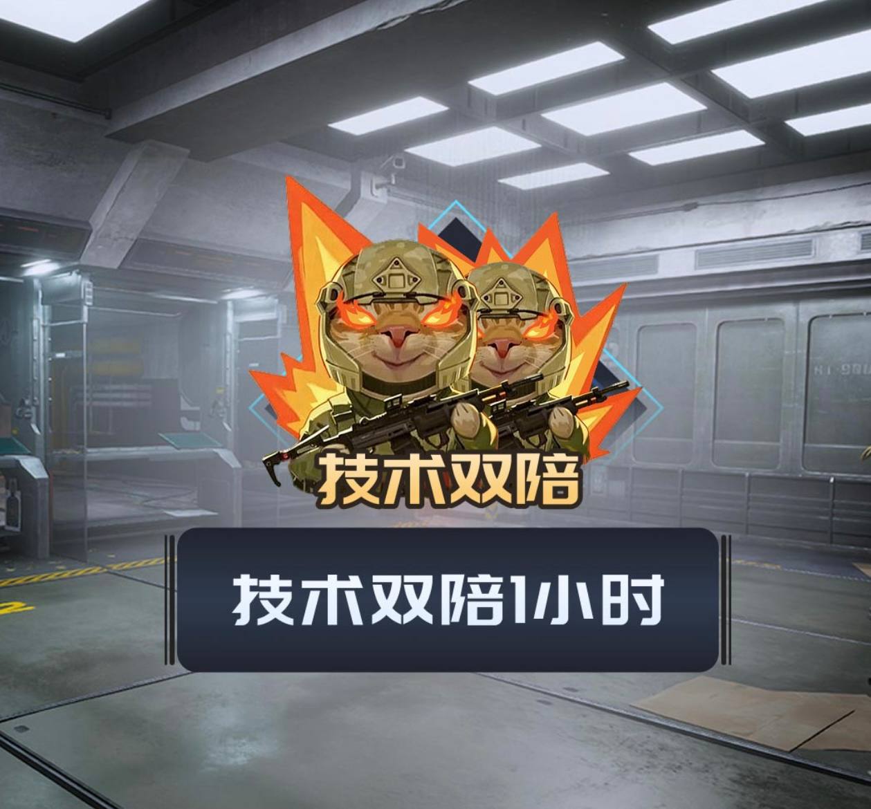 技术双陪一小时 保底888w